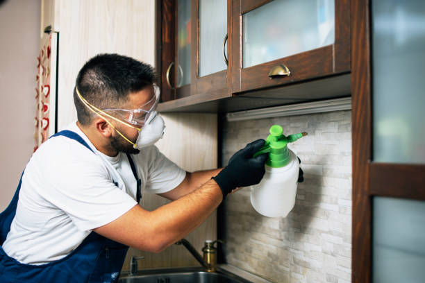 Best Pest Control for Restaurants  in Dorneyville, PA