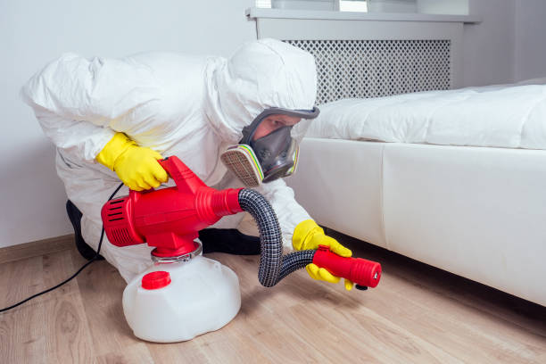 Best Termite Control Services  in Dorneyville, PA